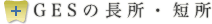 GESの長所・短所