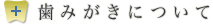 歯みがきについて