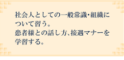 社員育成の流れ_1