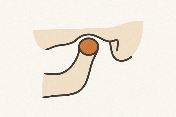 顎関節症の原因