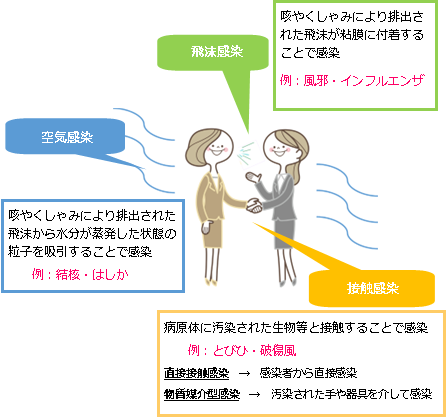 感染経路