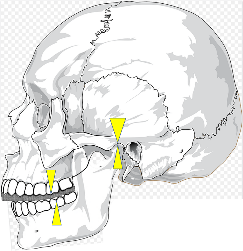 顎の関節は楽な位置関係