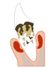 重度歯周炎の図